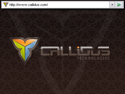 callidus-contest-winner-2-wize.jpg