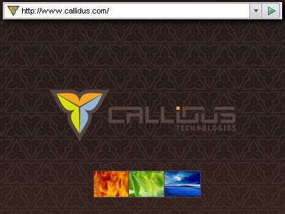 callidus-contest-winner-wize.jpg