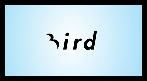 bird.jpg